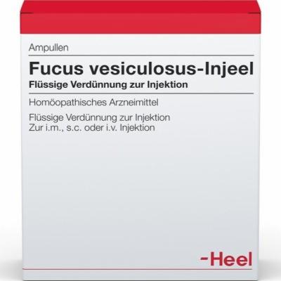 FUCUS VESICULOSUS INJEEL Ampullen