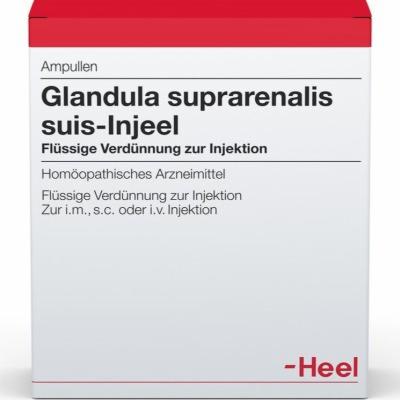 GLANDULA SUPRARENALIS suis Injeel Ampullen