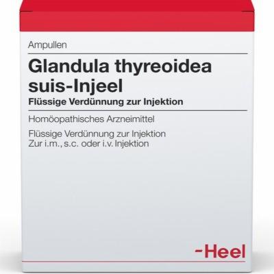 GLANDULA THYREOIDEA suis Injeel Ampullen