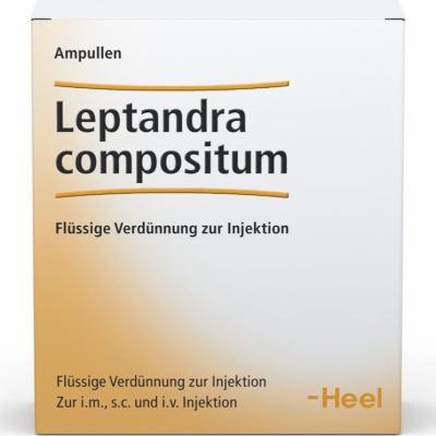 LEPTANDRA COMPOSITUM Ampullen