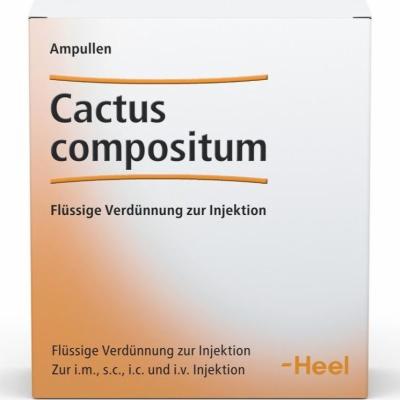 CACTUS COMPOSITUM Ampullen