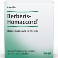BERBERIS HOMACCORD Ampullen