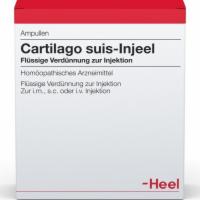 CARTILAGO suis Injeel Ampullen