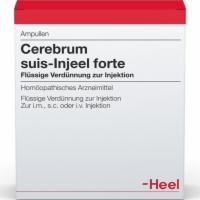 CEREBRUM SUIS Injeel forte Ampullen