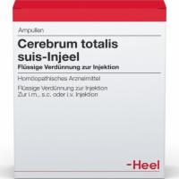 CEREBRUM TOTALIS suis Injeel Ampullen