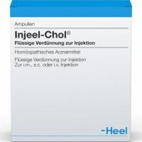 INJEEL Chol Ampullen