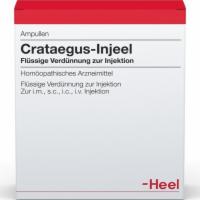 CRATAEGUS INJEEL Ampullen