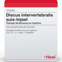 DISCUS INTERVERTEBRALIS suis Injeel Ampullen