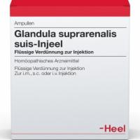 GLANDULA SUPRARENALIS suis Injeel Ampullen
