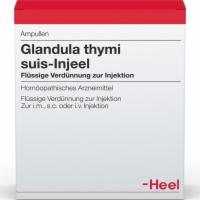 GLANDULA THYMI suis Injeel Ampullen
