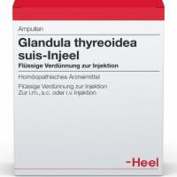 GLANDULA THYREOIDEA suis Injeel Ampullen