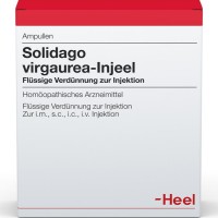 SOLIDAGO VIRGAUREA INJEEL Ampullen