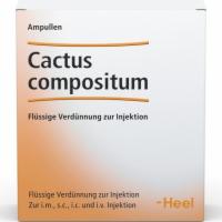 CACTUS COMPOSITUM Ampullen