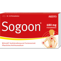 SOGOON 480 mg Filmtabletten