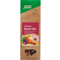 FRÜCHTETEE Bunter Mix Bio Salus