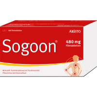 SOGOON 480 mg Filmtabletten