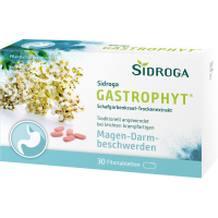 SIDROGA GastroPhyt 250 mg Filmtabletten