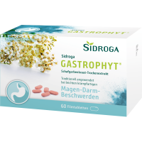 SIDROGA GastroPhyt 250 mg Filmtabletten